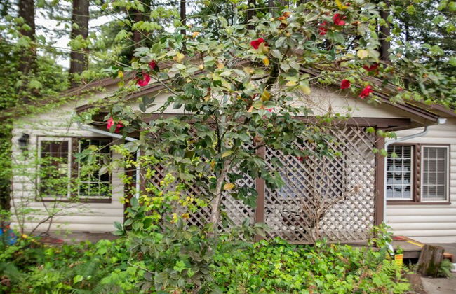 Miranda Gardens Resort - Foto 73