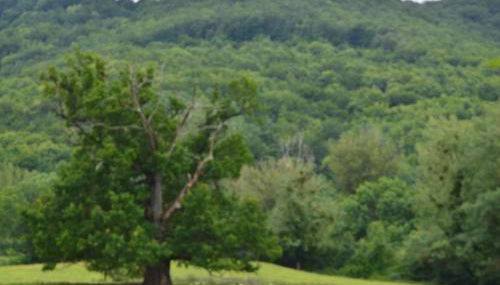 Gîtes des Palanges à l'Aubrac - Photo 2