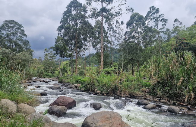 Casa Tien - Photo 56