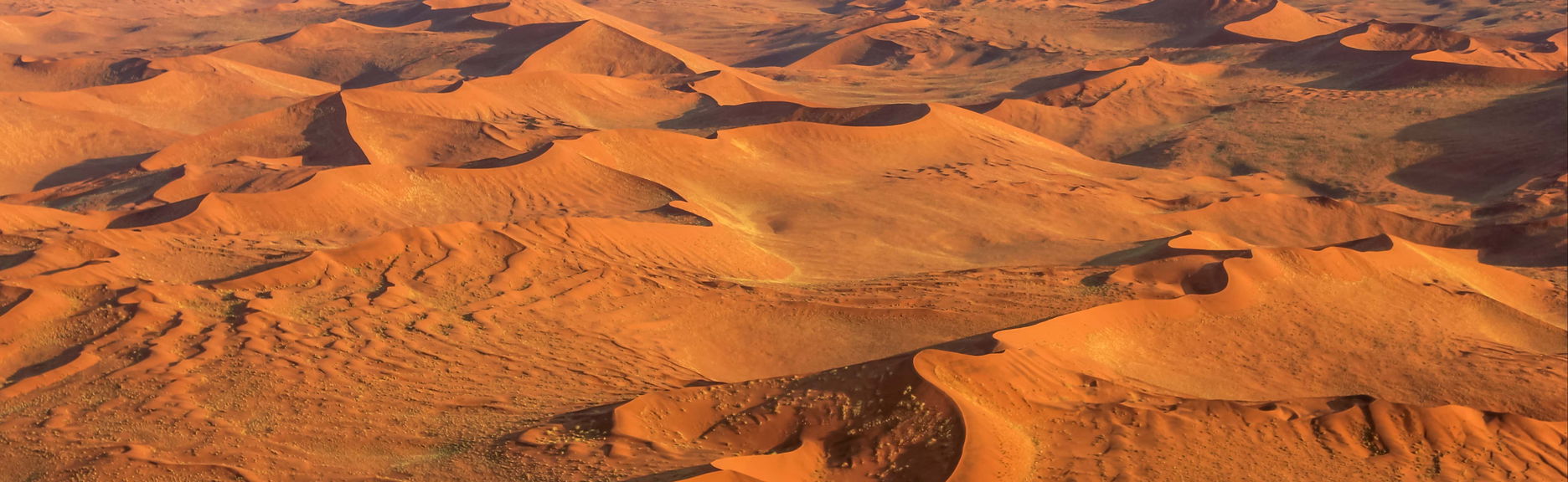 Tour pelo deserto do Namibe