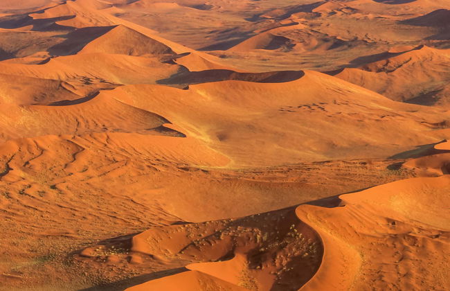 Tour por el desierto del Namib - Foto 1