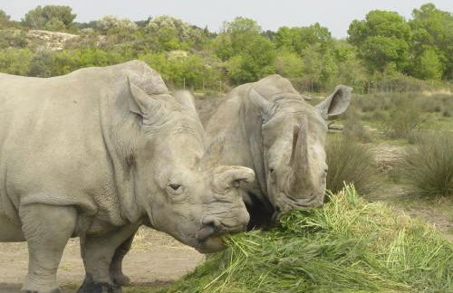 Chez Odile - Foto 20