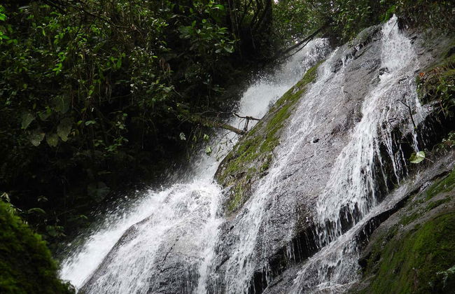 Avistamiento de aves en la reserva Santa Rita - Foto 3