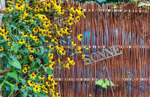 Menschen Meehr und wilder Wein - Foto 32