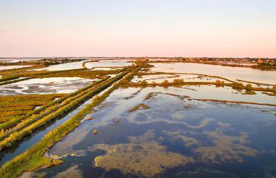 Agriturismo Casa Fiorindo - Foto 21