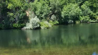 Chalet Pôr do Sol - Foto 5