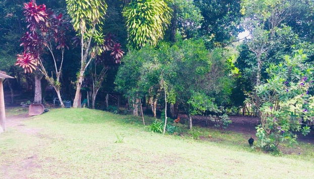 João de Tiba River Boat Trip - Foto 3