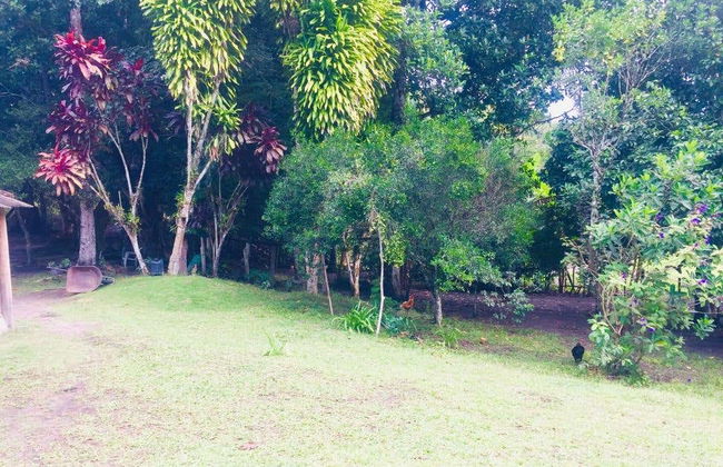 João de Tiba River Boat Trip - Foto 3