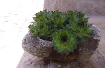 Villa Cetina - Apartment with a view - Foto 48