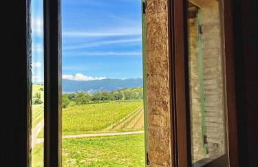 Villa Francesca - Foto 42