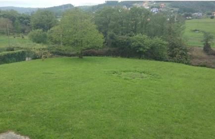 Preciosa Casa de Campo + Playa + Jardín + Mascotas - Foto 6