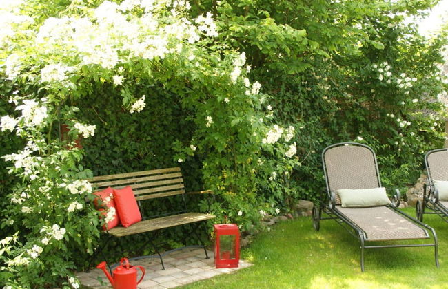 Reethus Star Kicker - Photo 25