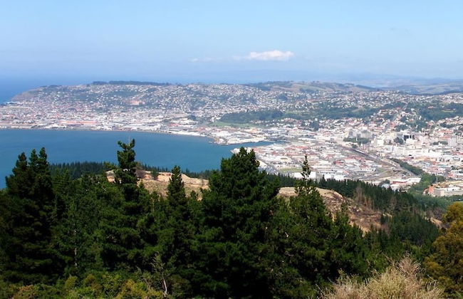 Baldwin Street BNB - Foto 60