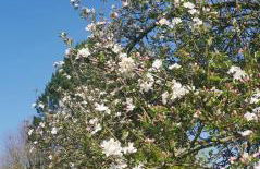 Chez Grand Maman - Foto 29