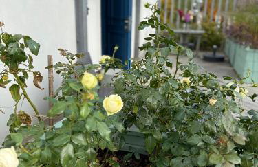 Villa Botanica - Foto 52