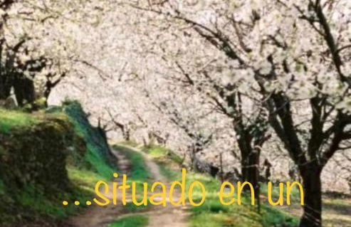 CASA BRIGIDA - Foto 40