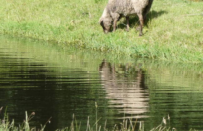 5 Person Holiday Home in Hovborg - Foto 12