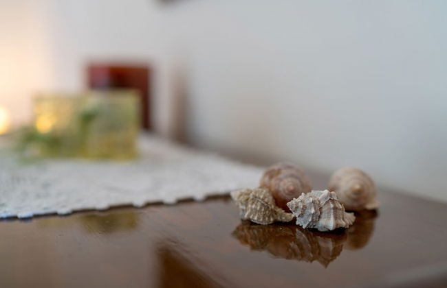 Sellia Resort - Foto 44