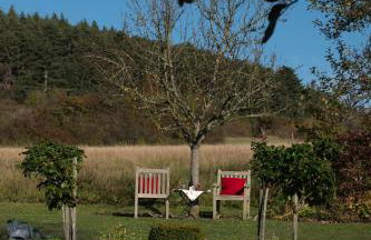 Gästehaus Heintz - Photo 32