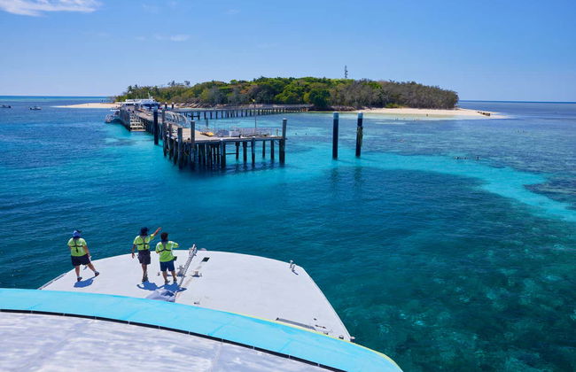 Excursión a Green Island - Foto 8