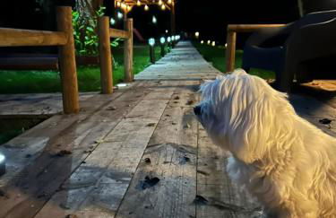 Le relais du Château - Foto 13