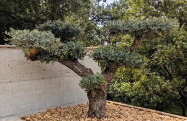 Expériences Les Chênes Verts - Gîtes de charme - Photo 24