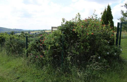 Landhaus Almyssen - Foto 42