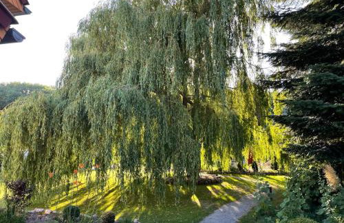 Ferienwohnung "SteernKieker" - Ankommen und Entspannen - Foto 17