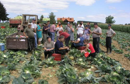 OAK COTTAGE - Foto 37