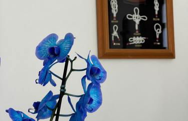 Casa Vivá Guaeca - Foto 27