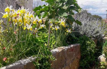 Anassa's Apartment - Άνασσα Διαμέρισμα - Foto 32