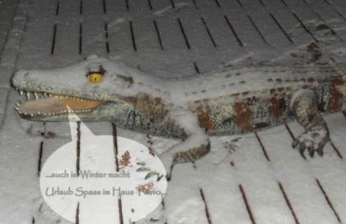 Holiday Home in Kuhklingen mit Großer Terrasse by Interhome - Foto 7