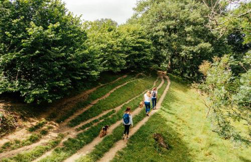 2 Bed in Capel Bangor oc-m30146 - Foto 26