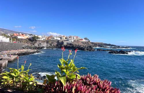 Near the Sea ALCALA 2 bedroom - Photo 4