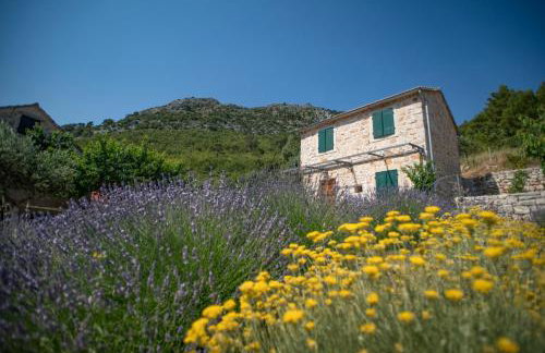 Stone Villa Marjan - Photo 65