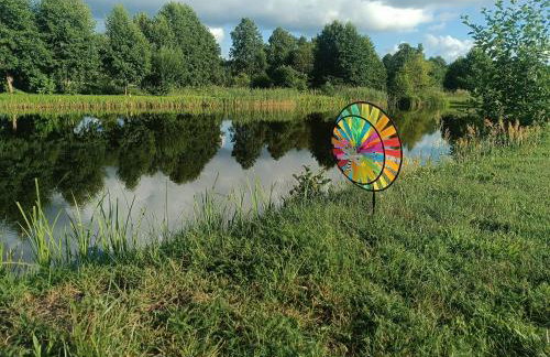 Nowy Domek na Mazurach - łowisko ryb - Foto 30