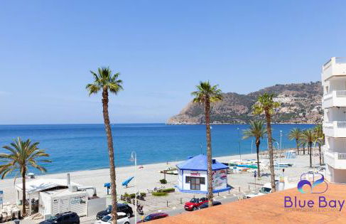 Luna Canela - Foto 5