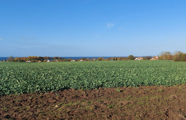Ferienwohnung auf Insel Poel - Foto 25