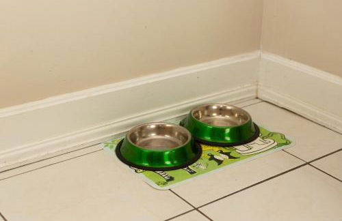 Spacious 2BR in Grand Old Home, Downtown Durham - Photo 43