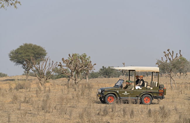 Alsisar Mahal - A Heritage Hotel - Foto 33