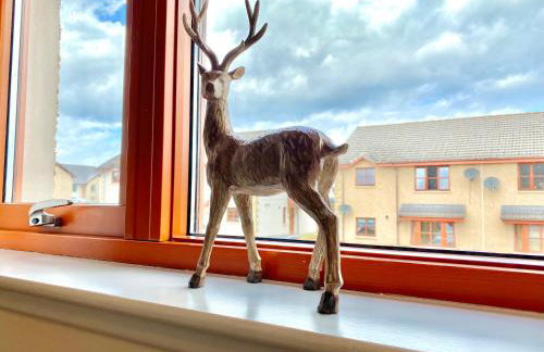 100 Thornhill Drive, Elgin - Photo 15