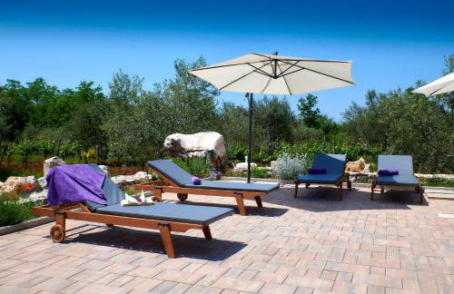 Relax house surrounded by olives and vineyard - Photo 13