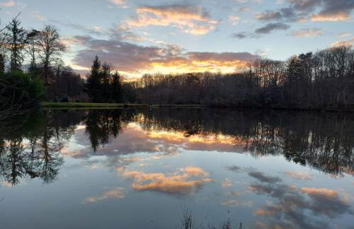 "Le petit bonheur" Gîte van 4 tot 12 personen met privé vijver van 2Ha - Foto 15