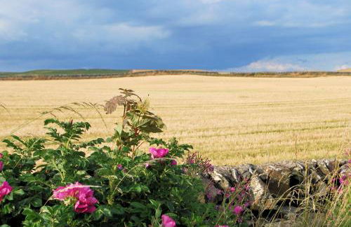 4 Laigh Isle - Foto 8