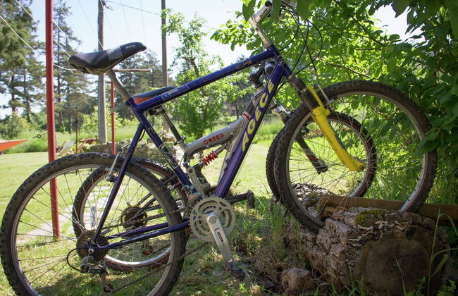 Stay With Local Flavors - Photo 11