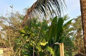 Casa com cachoeira-rio no quintal - Foto 34
