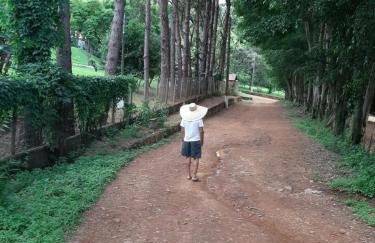 Sitio Carvalho da Serra - Photo 13