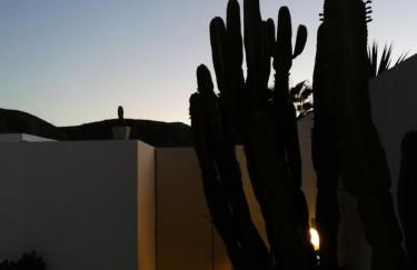 Casa Euphorbia - Foto 17