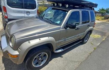 CampCar Maui Jeeps SUVs Hybrid Camper van Rentals with equipment and Travel Advice - Foto 20