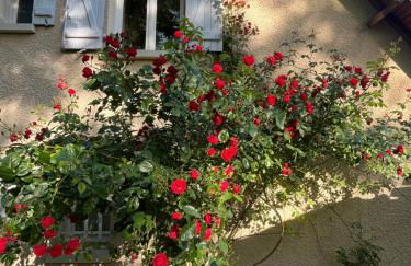 Maison des soles piscine Cahors St Cirq Lapopie - Photo 14
